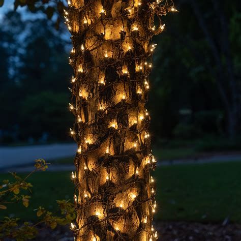 bush net lights|bush christmas lights outdoor net.